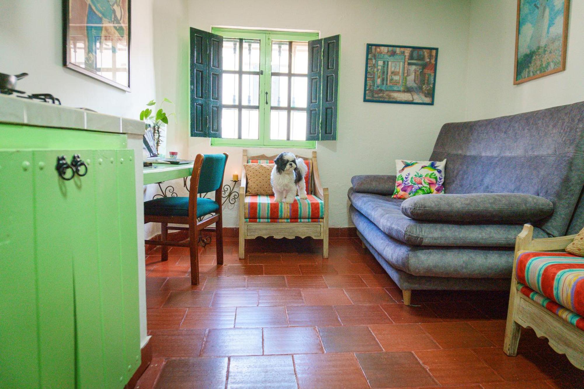 Apartamentos Y Habitaciones Le Colibri - וילה דה לייבה מראה חיצוני תמונה